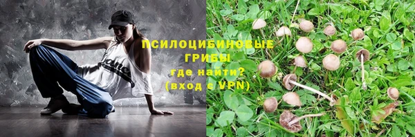 соль курить ск Осинники