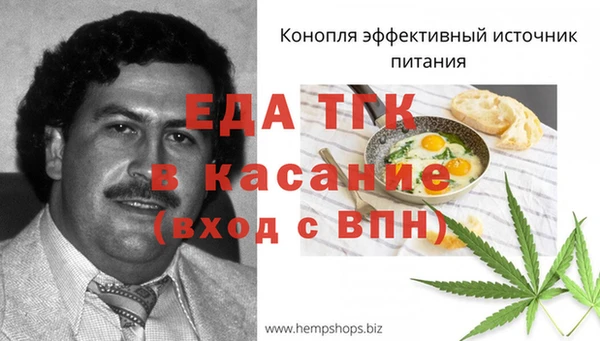 индика Вязники