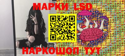 МДПВ Волгодонск
