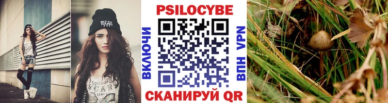 Галлюциногенные грибы GOLDEN TEACHER darknet наркотические препараты Алушта omg сайт