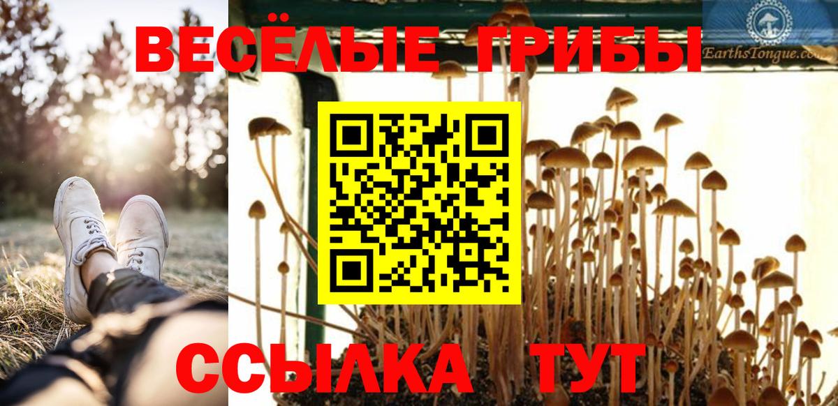 Меф  Мяу-Мяу  Alpha PVP  Канабис  Бошки Шишки  Магазины продажи наркотиков  COCAIN  Алушта  Гарик  Вход с VPN 