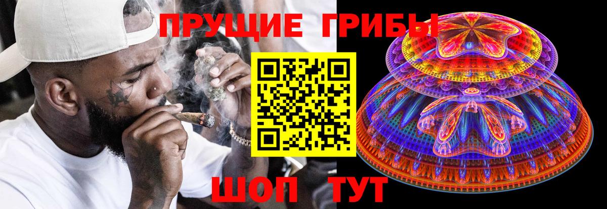 Галлюциногенные грибы GOLDEN TEACHER  Галлюциногенные грибы Psilocybe  купить   Алушта  Вход с VPN 