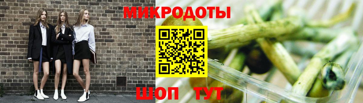 Галлюциногенные грибы Psilocybe Алушта